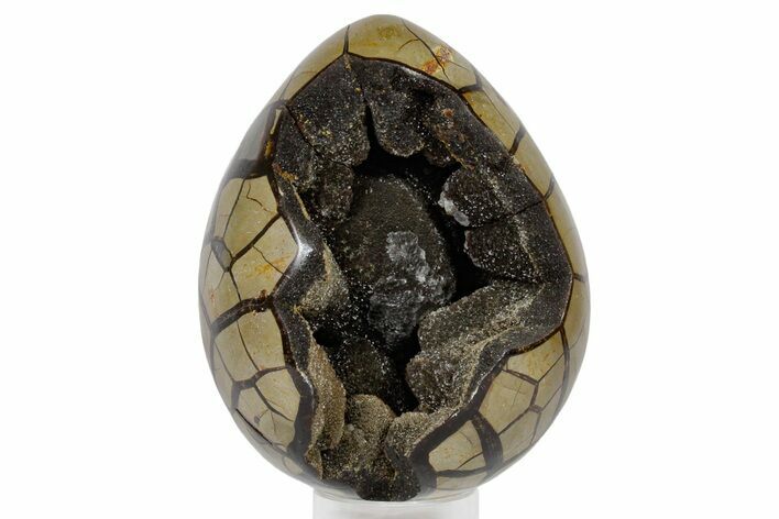 Septarian Dragon Egg Geode - Sparkly Black Crystals #359077